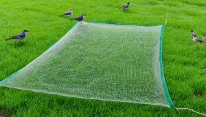 how to prevent birds from eating grass seed