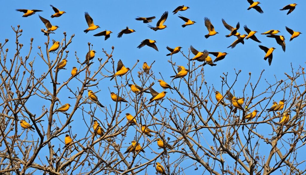 seasonal changes in avian vocalizations