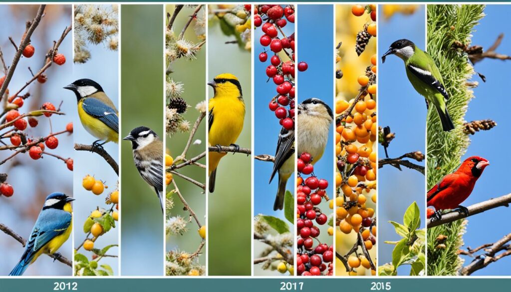 seasonal variations in bird feeding