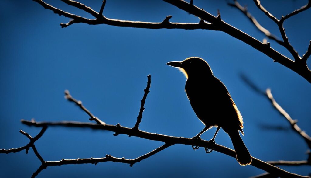 what birds chirp at night in texas