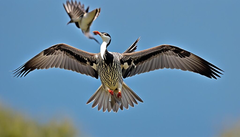 coordination of neck muscles in birds